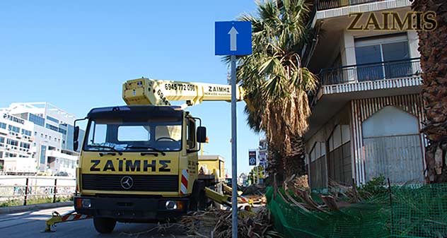 Κλάδεμα υψηλών δέντρων